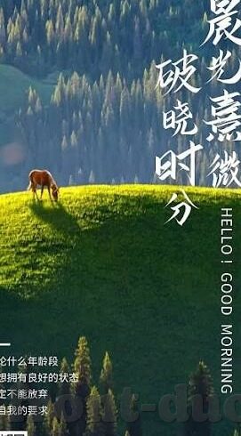 魔法禁书目录手游九游版下载-探索奇幻世界 从魔法禁书目录手游开启！